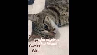 Bunlarda Suç Ortaklarım Roblox I