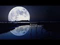 Ruelle - Walking On The Moon