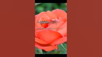 #القرآن_الكريم #religion #new #سورة #الرحمن #آیت4