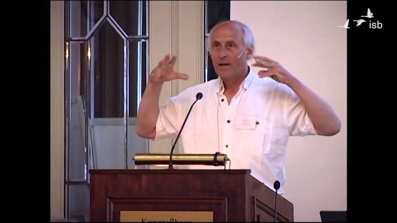 Warum innere Bilder? (Impuls); Bernd Schmid