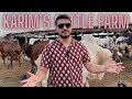 KARIM&#39;S CATTLE FARM Kay MAAMLAAT 🐄 ft. @samentertainmentbysameed 📸