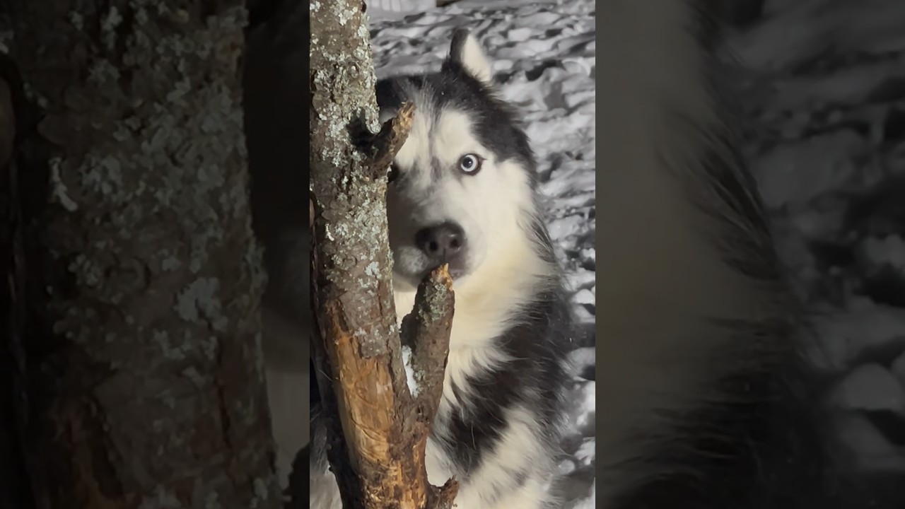 КАК ВЫГЛЯДИТ НЕХВАТКА ВИТАМИНА Д