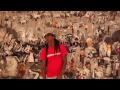 Lil Wayne - Steady Mobbin (Feat. Gucci Mane) (Official Video) (Dirty Version) (720p HD)