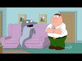 Tricia takanawa and dolphin  family guy