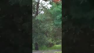 Это Одесса ,детка! Дождь спорту не помеха! Парк на Проспекте Шевченко! 24 сентября!