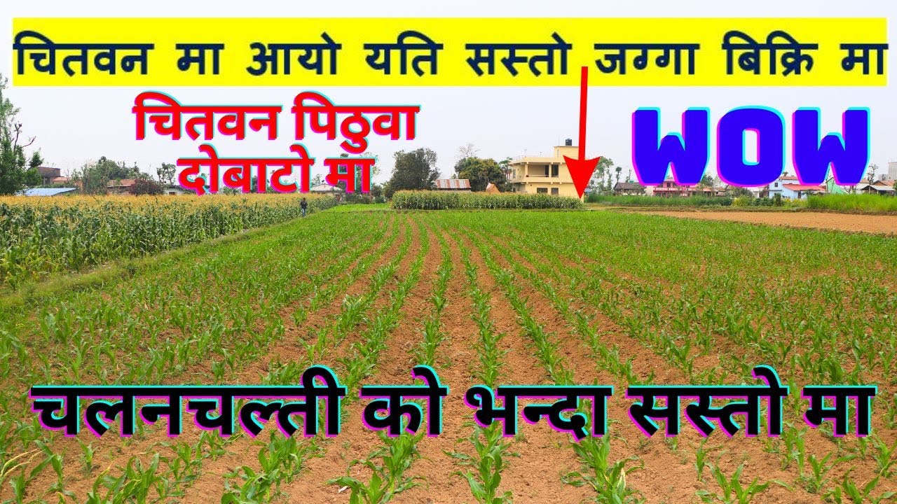 A best land on sale in chitwan nepal @gharjaggabank @Realestatekarobar @gharjaggakarobarnepal