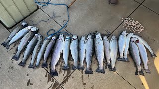 Santa Ana River Lakes | Los Vaqueros Reservoir Trout Fishing! (SOCAL/NORCAL)