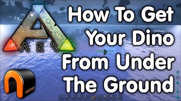 Ark How To Get Your Bugged Dino From Under The Ground