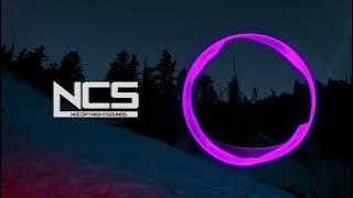 1 hour Netrum & Halvorsen   Shivers NCS Release