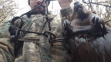 How to make a blind set for otter and beaver 2015