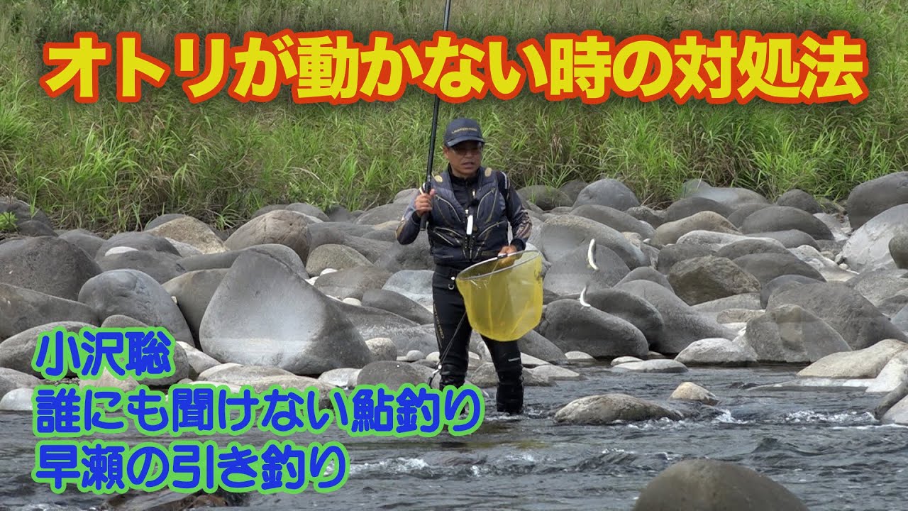 小沢聡 オトリが動かない時の対処法 - YouTube