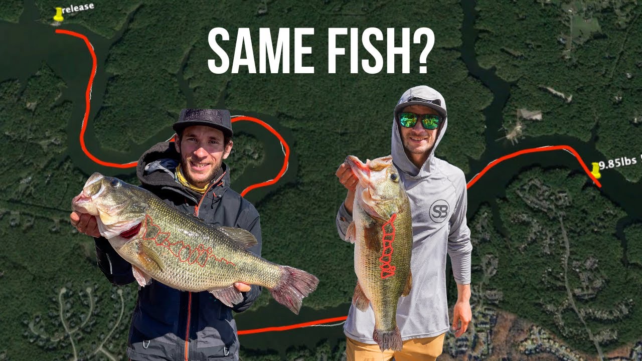 I Caught the Lake Record Bass AGAIN and You won’t Believe Where!