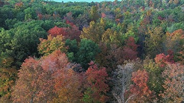 Finding Fall Colors