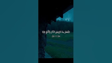 اجر لي ولكـم 🌥️🌷#كلير_تحبكم#اكسبلور#قران_كريم#لايك#محمد_صديق_المنشاوي#سورة_القيامة#راحة_نفسية