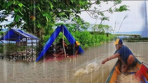 3 HARI BERPETUALANG BERBURU IKAN DI GUYUR HUJAN BERSAMA ISTRI DI DANAU TEMPE