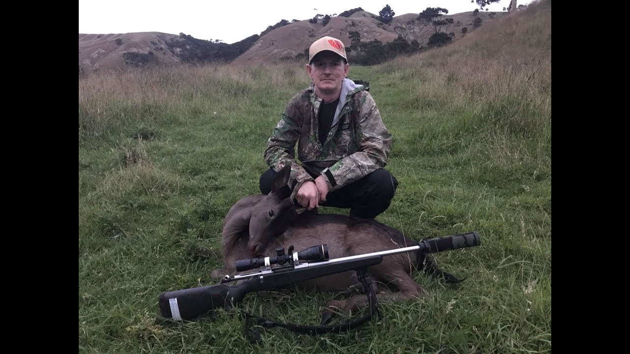 video phone beyonce mp3 Fallow Hunt Feb 2018