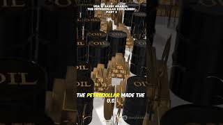 USA and Saudi Petrodollar Explained   3