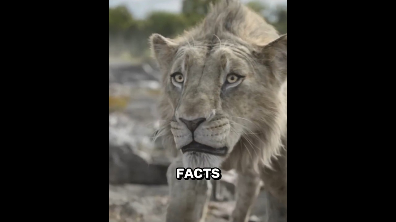 03 Soul Satisfying Facts About "Mufasa: The Lion King" 