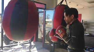 Di Nardo Boxing Gloves - heavy bag 