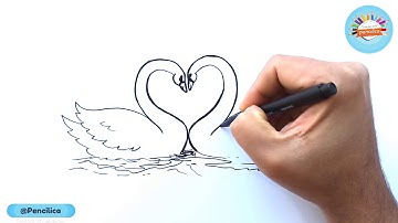 How To Draw Two Swan - Two Lover Swan