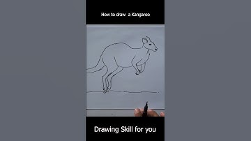 how to draw a kangaroo shorts,how to draw a kangaroo realistic