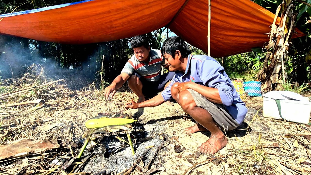 Tập 03.2026 || Cá lóc nướng trong trái bầu lai rai dưới bụi tre gió mát se lạnh