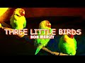BOB MARLEY-THREE LITTLE BIRDS(Traduzione Italiana)
