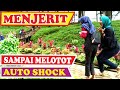 Kompilasi Jeritan Histeris BUSHMAN PRANK | PRANK MANUSIA POHON