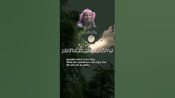 من أجمل التلاوات لسورة محمد - بصوت القارئ عادل الكلباني #عادل_الكلباني