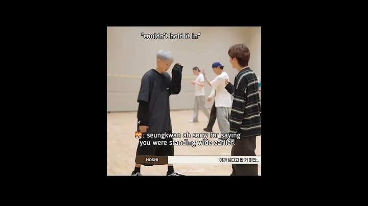 they can't even think of upsetting each other💓❣️#seventeen #boosoon #seungkwan #hoshi