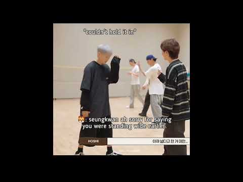 They Can T Even Think Of Upsetting Each Other Seventeen Boosoon Seungkwan Hoshi