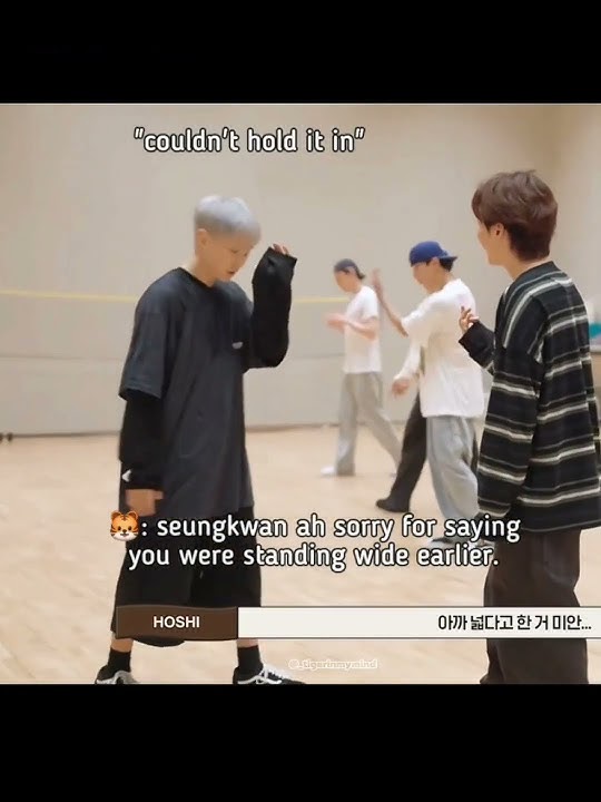 they can't even think of upsetting each other💓❣️#seventeen #boosoon #seungkwan #hoshi