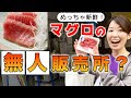 【那智勝浦】マグロの無人販売！？口コミで話題のセルフ販売所のご紹介