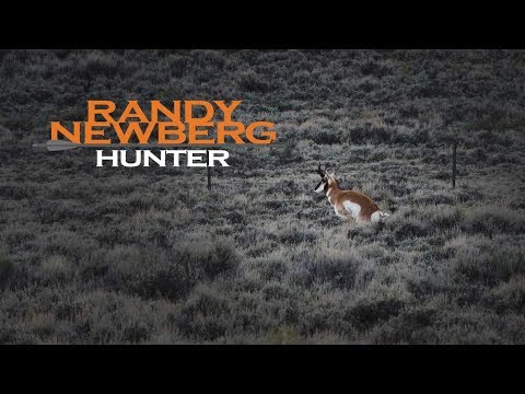 Vídeo: Quando o antílope pronghorn faz cio?