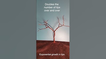 Make trees to show math #beautifuldiscoverymodeling