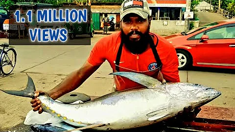 Quanto costa il pesce fresco al kg?