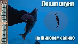 Ловля окуня на финском заливе. Ловля на мормышку.