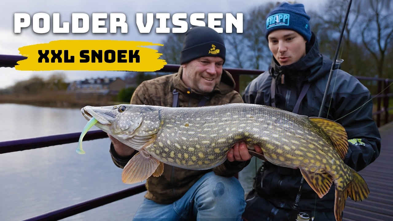 Op zoek naar meter snoeken in de winter - Zo zoek je ze!