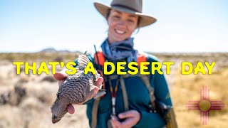 Thats A Desert Day Quail Hunting In New Mexico