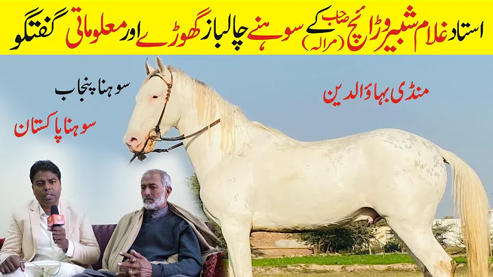 Attractive Farmhouse Ghulam Shabbir Warraich | hor...
