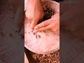 Yağ gibi gidiyor