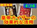 【海上釣堀】大人気！皇帝カイザーの効果的な使い方を考察～真鯛も青物もこれ1つ！練餌海道Proシリーズ皇帝KAISER〜大阪海上釣り堀サザン