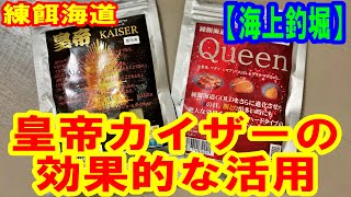【海上釣堀】大人気！皇帝カイザーの効果的な使い方を考察～真鯛も青物もこれ1つ！練餌海道Proシリーズ皇帝KAISER〜大阪海上釣り堀サザン