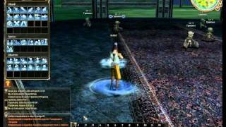Lineage 2 bug2.avi