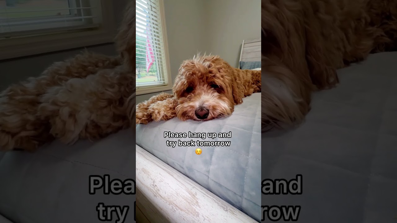 I’m on recharge mode ☺️ 