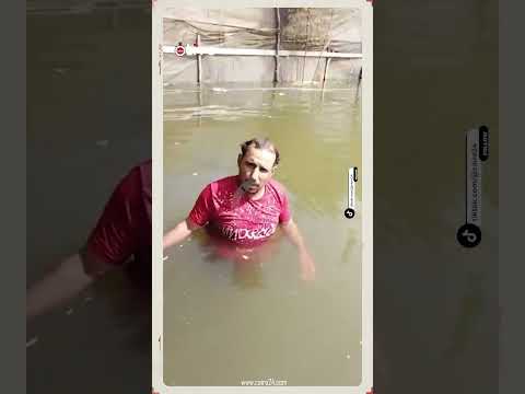 بشيل البنات على كتفي وأنقذهم أحد أهالي المنوفية يروي معاناته بعد غرق المنازل بارتفاع منسوب النيل