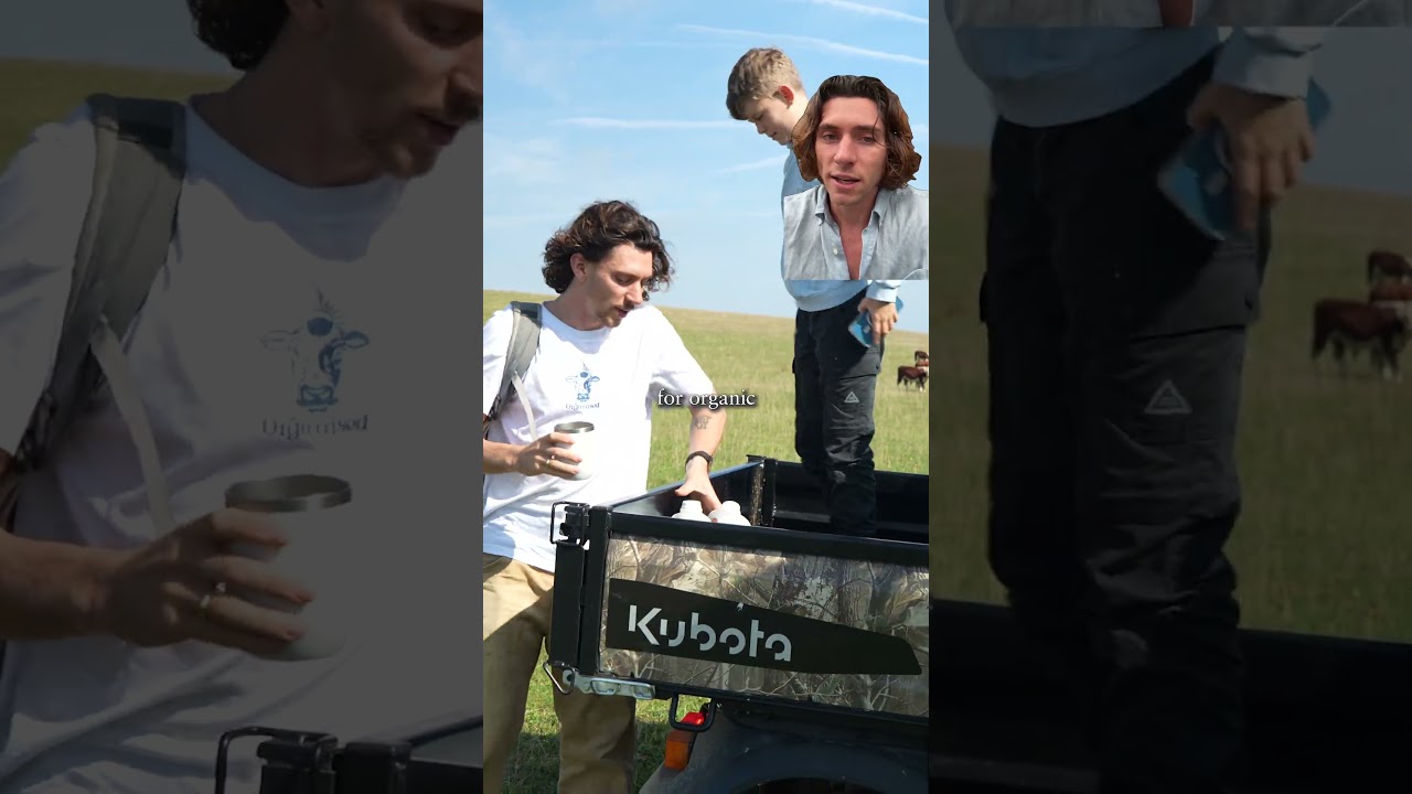 Почему вы избегаете поддельных продуктов питания, но не поддельных добавок?