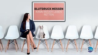 Blutdruckmessen rettet Katzenleben