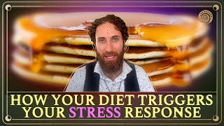 [Ep. 236] Understanding How Your Diet Is Triggering Your Stress Response