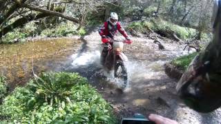 Fording the Umborne Brook near Cotleigh in Devon